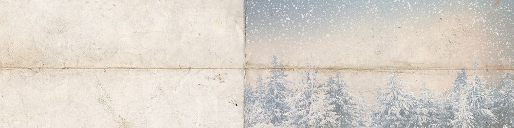 29/12/22 533 Winter Wonderland