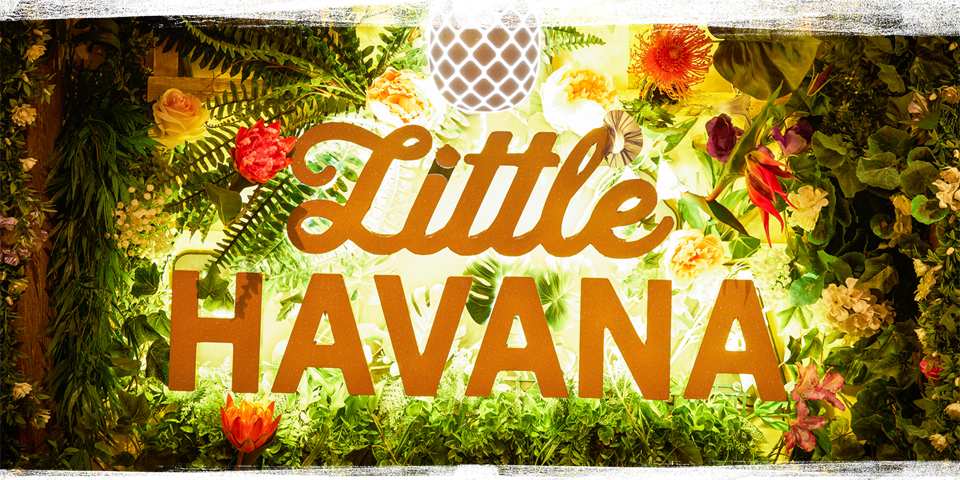 Little Havana 4